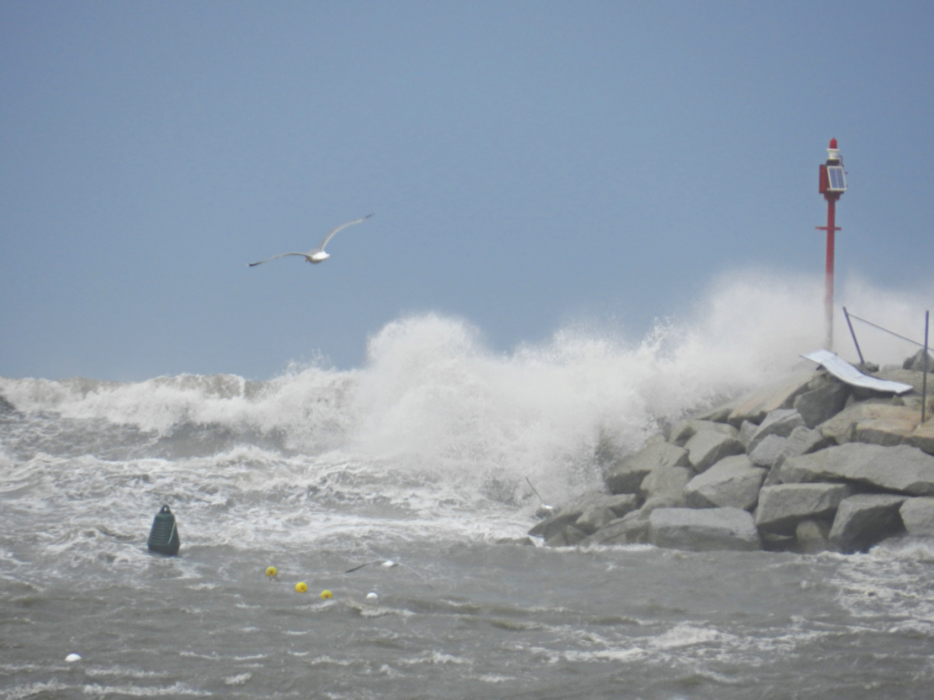 Sturm aus Nord: selten, aber wenn, dann heftig