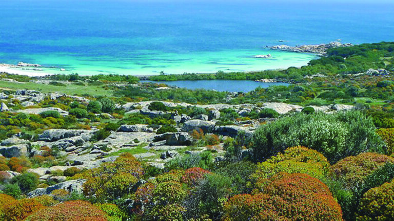 Area Marina Protetta Isola dell’Asinara (Nordwesten)